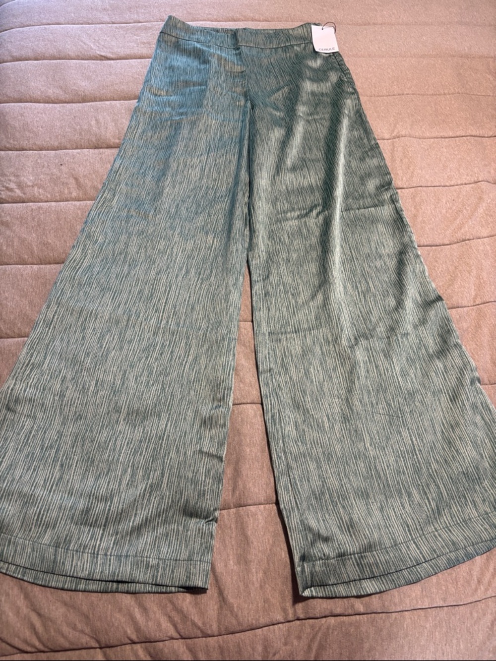 Wide Leg Metallic-Textured Pants in Sage Green